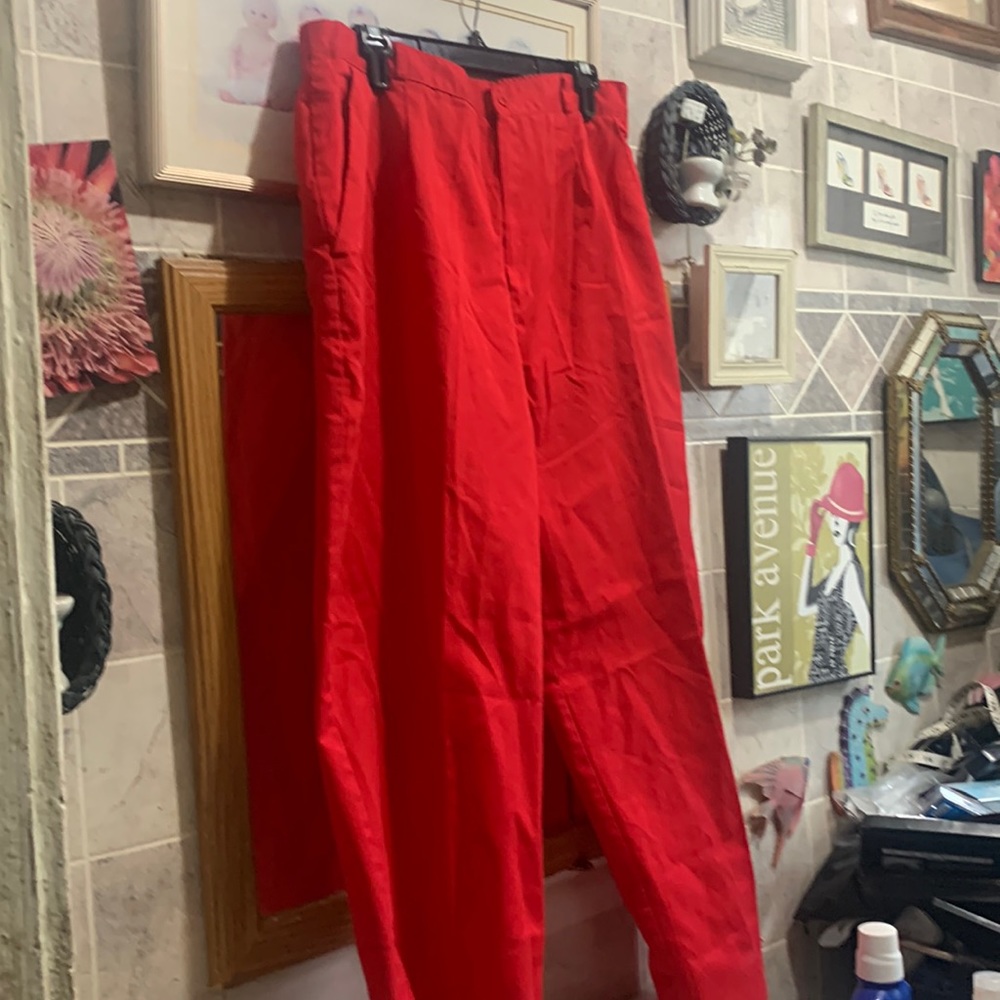 Sears pants